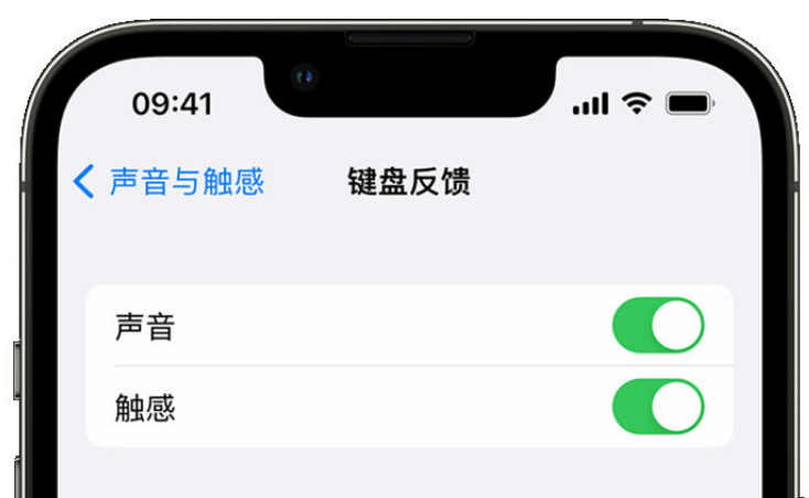 磴口苹果手机维修分享iPhone 14触感键盘使用方法 