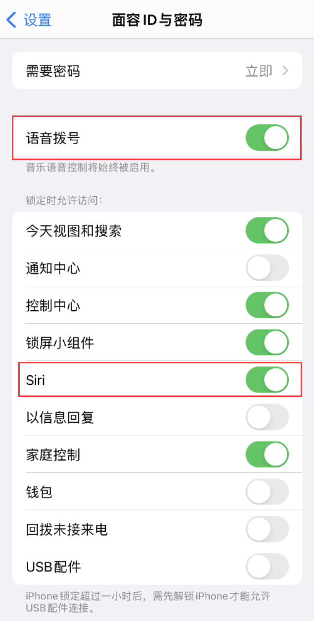 磴口苹果维修网点分享不解锁 iPhone 的情况下通过 Siri 拨打电话的方法 