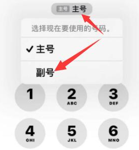 磴口苹果14维修店分享iPhone 14 Pro Max使用副卡打电话的方法 