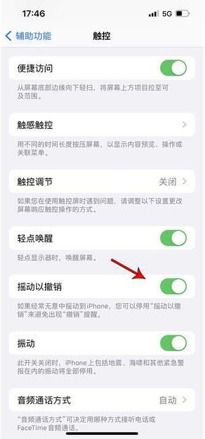 磴口苹果手机维修分享iPhone手机如何设置摇一摇删除文字 
